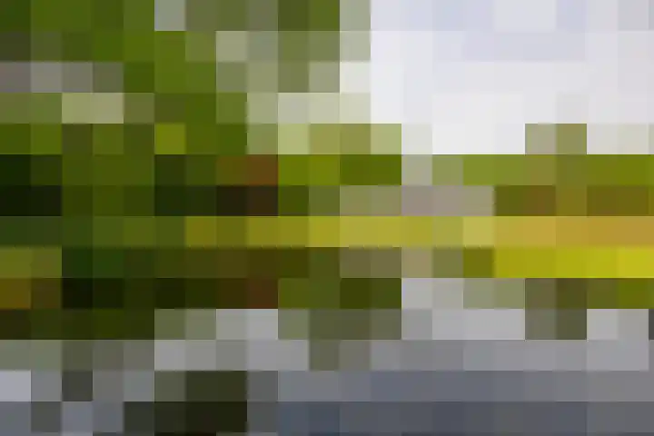 Rijsbergseweg 545 Breda thumbnail 93