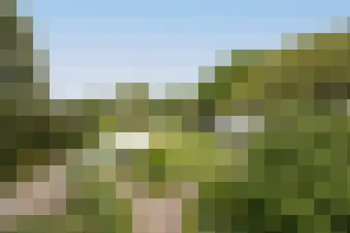 Rijsbergseweg 85 Etten-Leur thumbnail 4