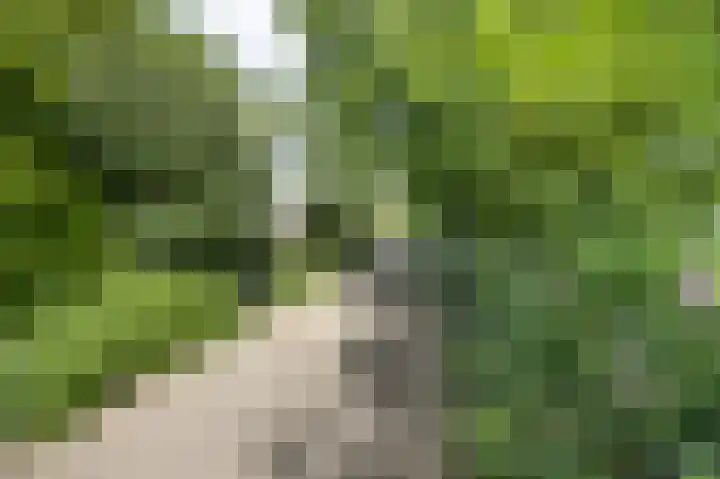 Rijsbergseweg 85 Etten-Leur thumbnail 5