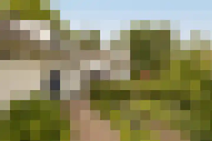 Rijsbergseweg 85 Etten-Leur thumbnail 6