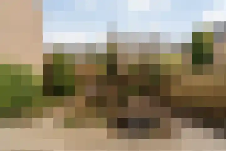 Rijsbes 27 Rotterdam thumbnail 33
