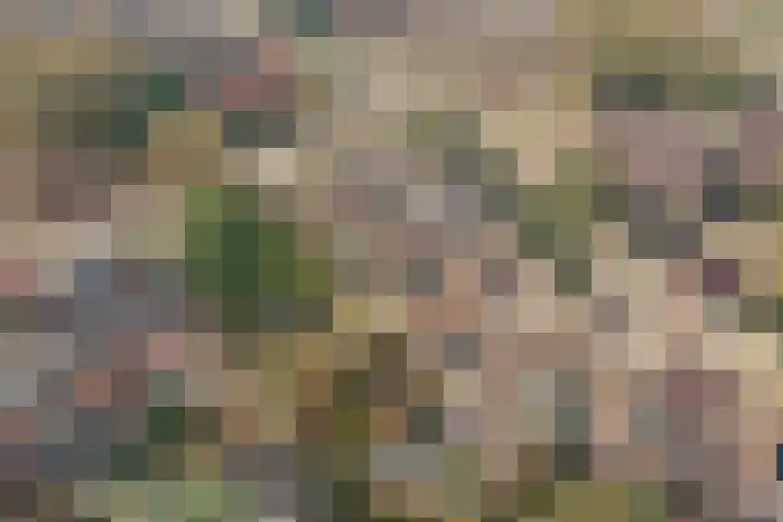 Rijsbes 27 Rotterdam thumbnail 37