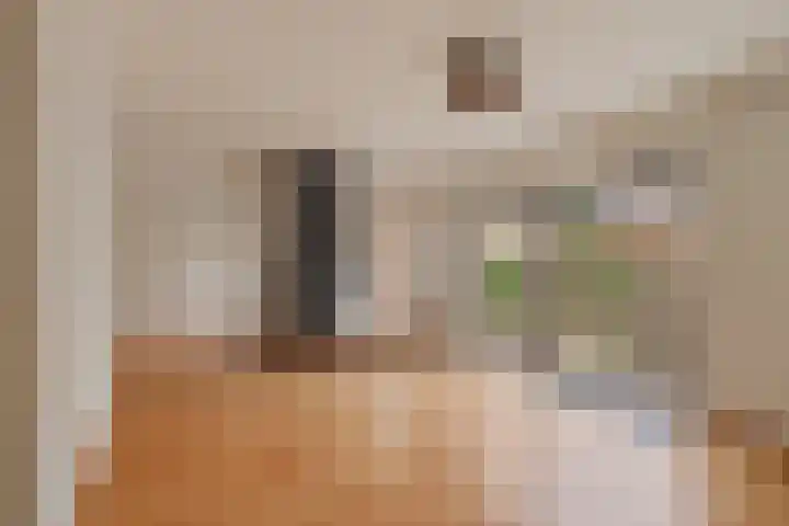 Rijsbes 27 Rotterdam thumbnail 4