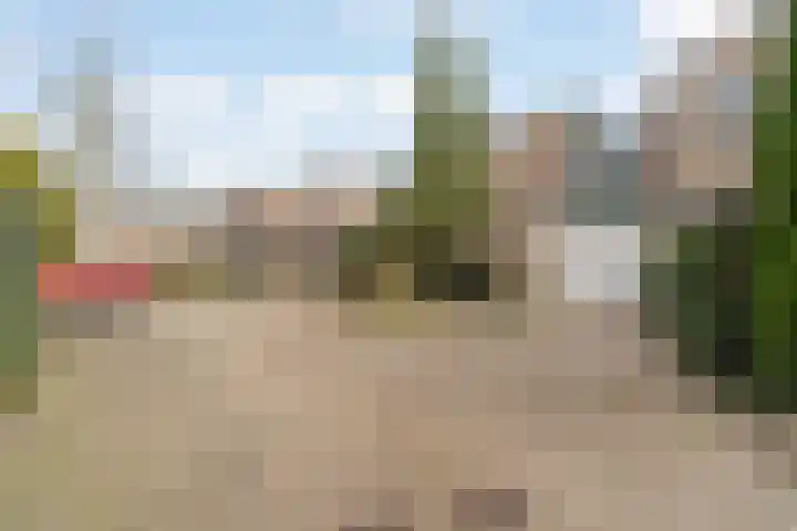 Rijsbes 27 Rotterdam thumbnail 41