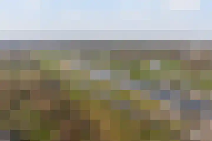 Rijsbes 27 Rotterdam thumbnail 43