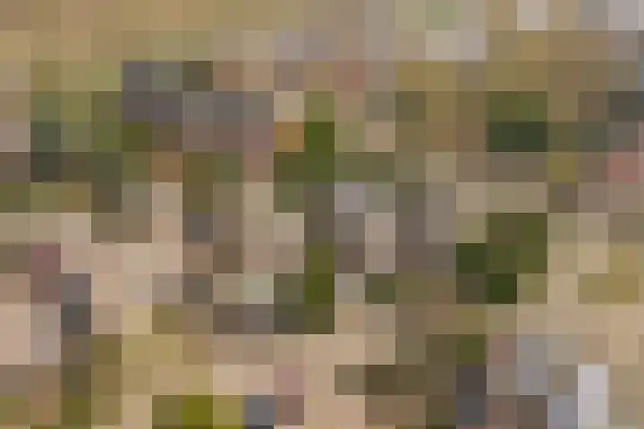 Rijsbes 27 Rotterdam thumbnail 7