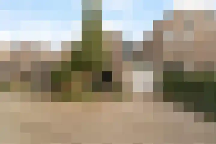 Rijsbes 27 Rotterdam thumbnail 8