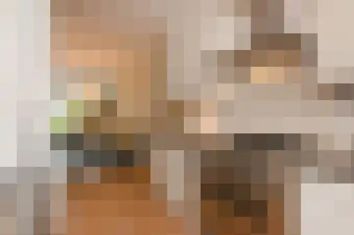 Rijsbes 61 Den Haag thumbnail 11