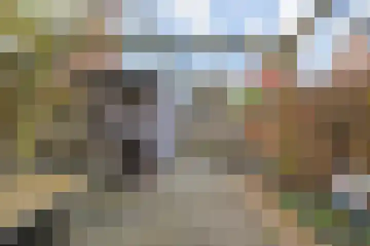 Rijsbes 61 Den Haag thumbnail 13