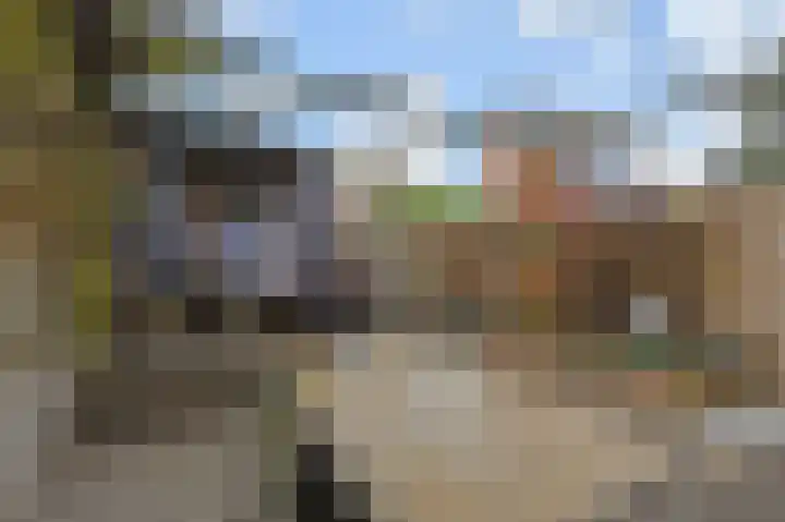 Rijsbes 61 Den Haag thumbnail 14