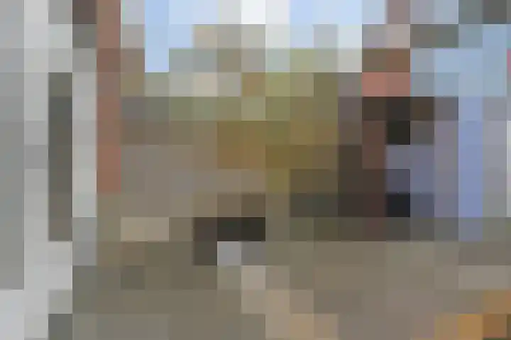 Rijsbes 61 Den Haag thumbnail 15