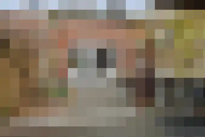 Rijsbes 61 Den Haag thumbnail 17