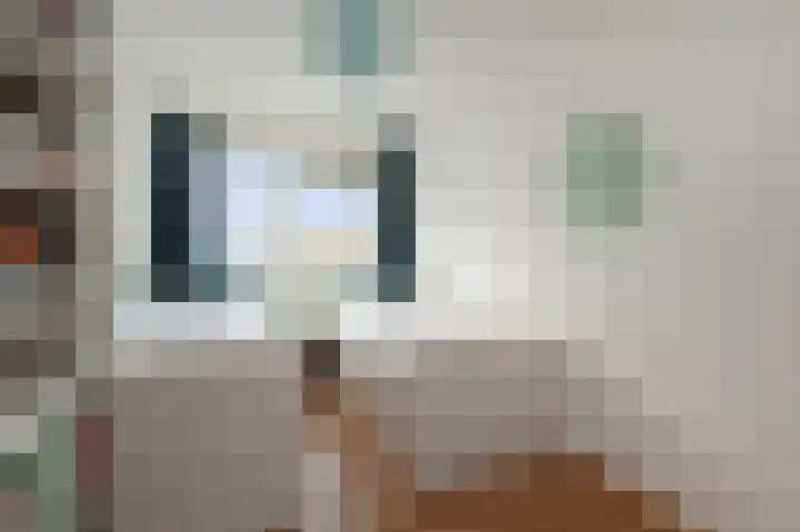 Rijsbes 61 Den Haag thumbnail 19