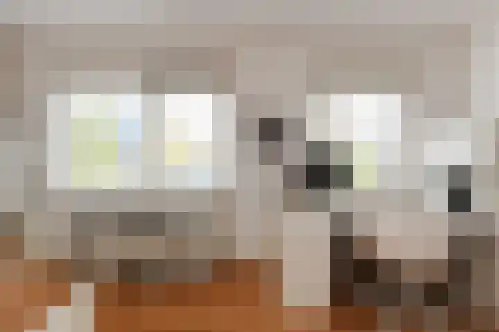 Rijsbes 61 Den Haag thumbnail 24