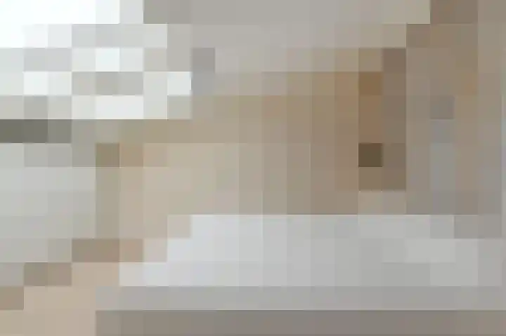 Rijsbes 61 Den Haag thumbnail 33