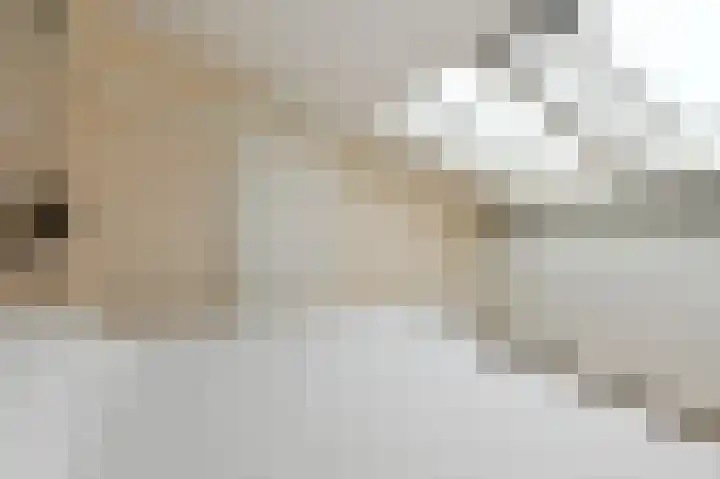 Rijsbes 61 Den Haag thumbnail 35
