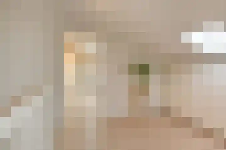 Rijsbes 61 Den Haag thumbnail 36
