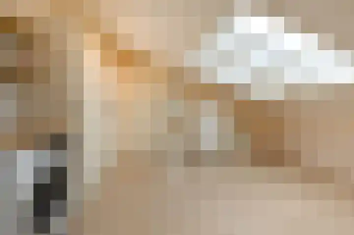 Rijsbes 61 Den Haag thumbnail 37