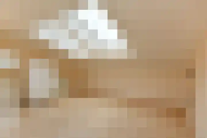 Rijsbes 61 Den Haag thumbnail 38