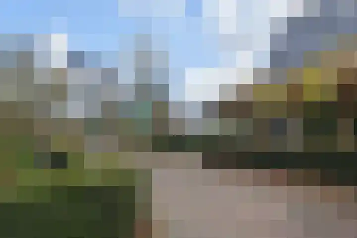 Rijsbes 61 Den Haag thumbnail 43