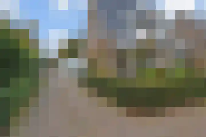 Rijsbes 61 Den Haag thumbnail 44