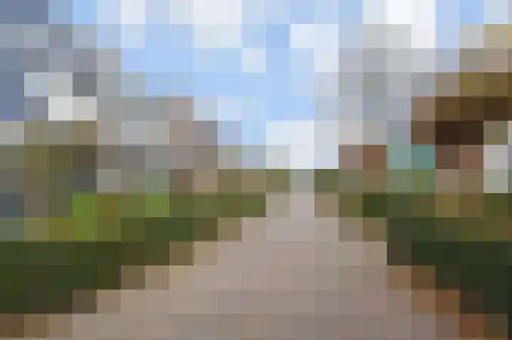 Rijsbes 61 Den Haag thumbnail 45