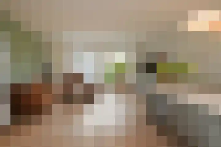 Rijsbes 61 Den Haag thumbnail 5