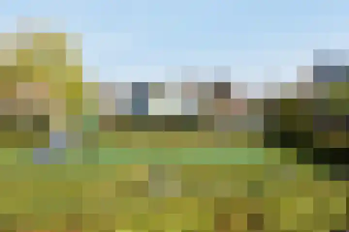 Rijsbes 61 Den Haag thumbnail 51