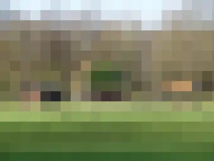Rijsbes 61 Den Haag thumbnail 53
