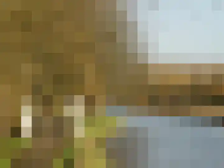Rijsbes 61 Den Haag thumbnail 54