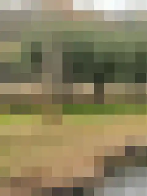 Rijsbes 61 Den Haag thumbnail 56