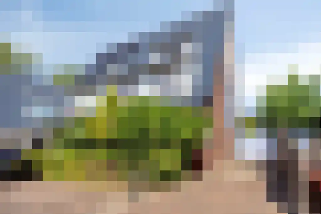 Rijsbes 97 Den Haag thumbnail 5
