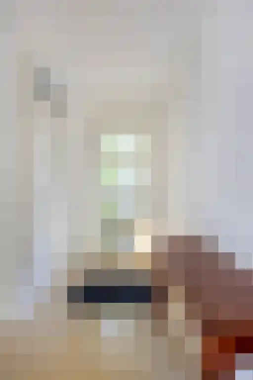 Rijsbes 97 Den Haag thumbnail 6