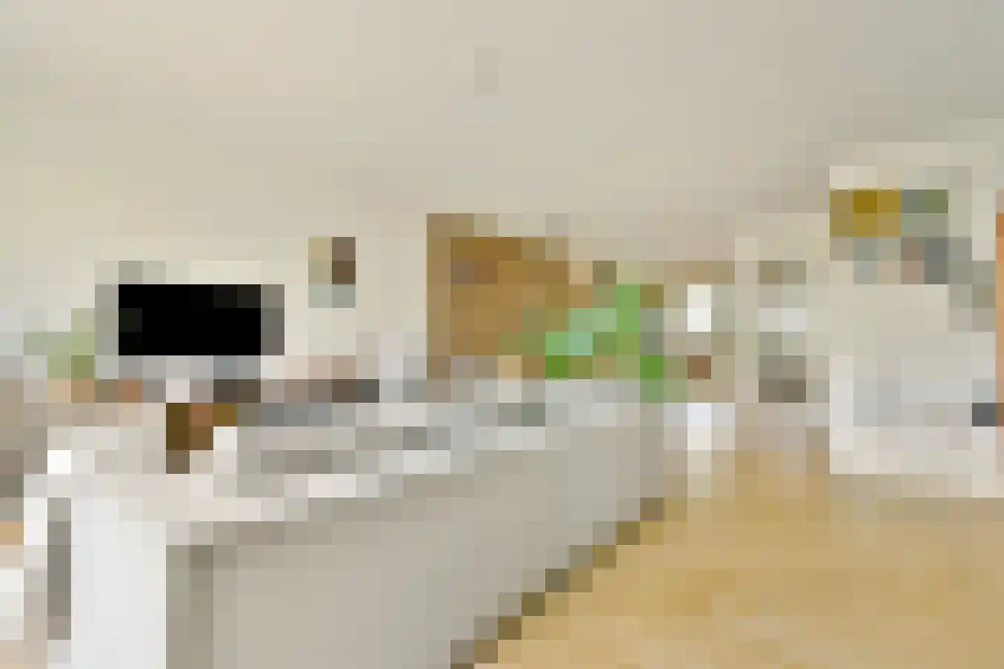 Rijsbesstraat 9 Amsterdam thumbnail 12