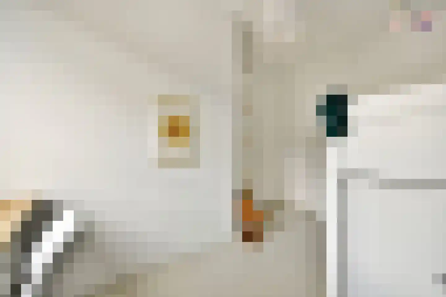 Rijsbesstraat 9 Amsterdam thumbnail 27