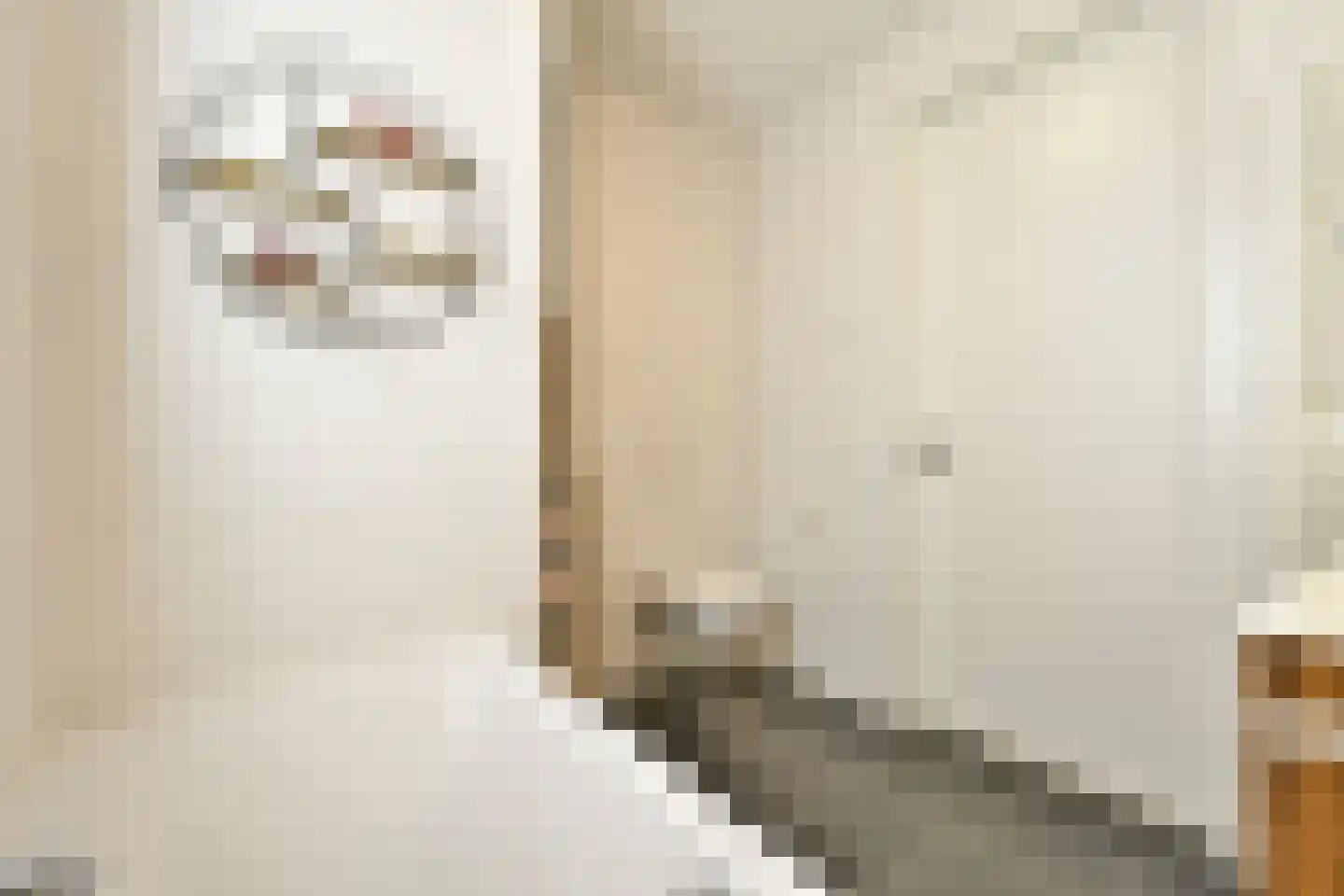 Rijsbesstraat 9 Amsterdam thumbnail 31