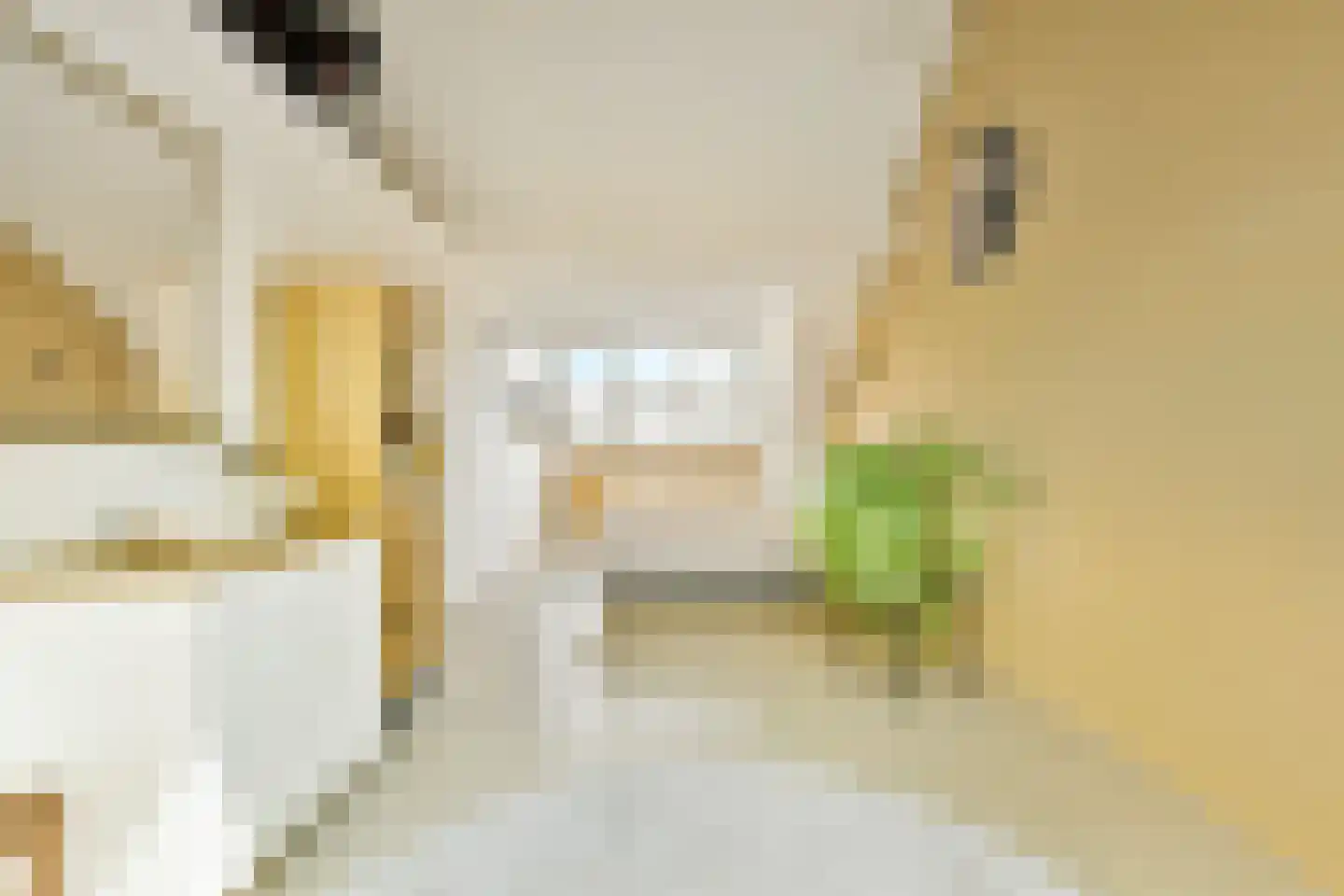Rijsbesstraat 9 Amsterdam thumbnail 32