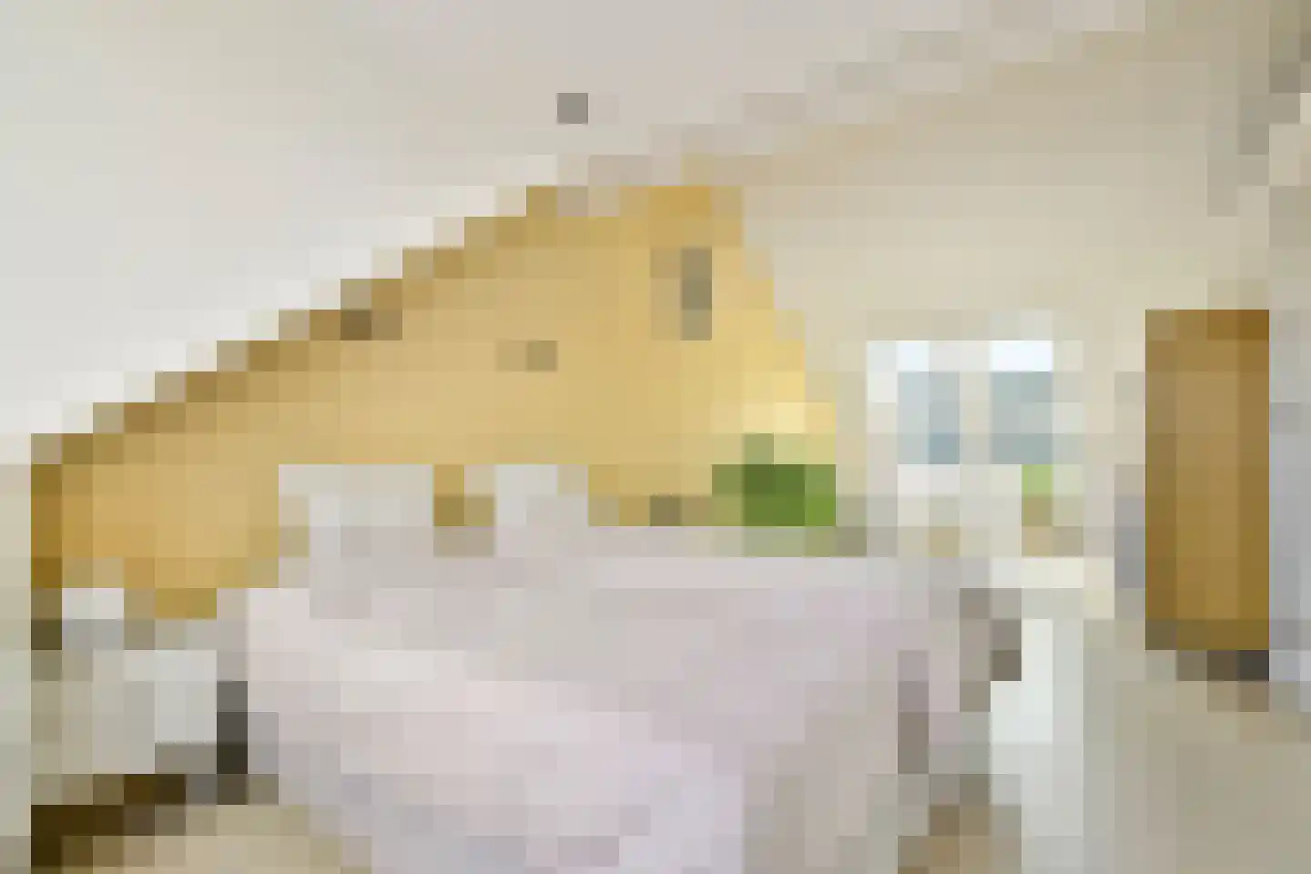 Rijsbesstraat 9 Amsterdam thumbnail 33