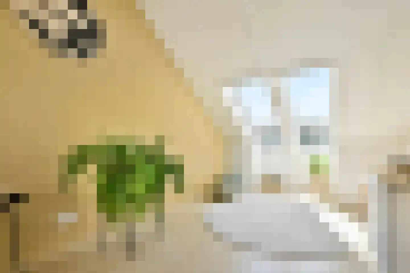 Rijsbesstraat 9 Amsterdam thumbnail 34