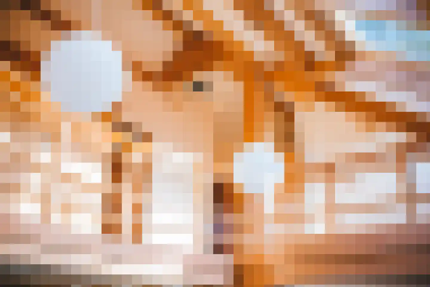 Rijsdammerweg 2 a Sellingen thumbnail 22