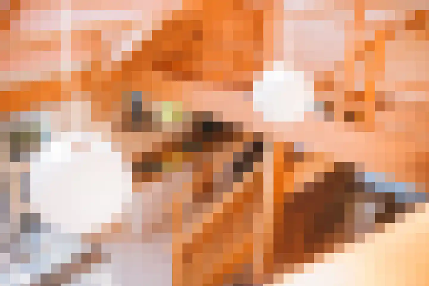 Rijsdammerweg 2 a Sellingen thumbnail 23