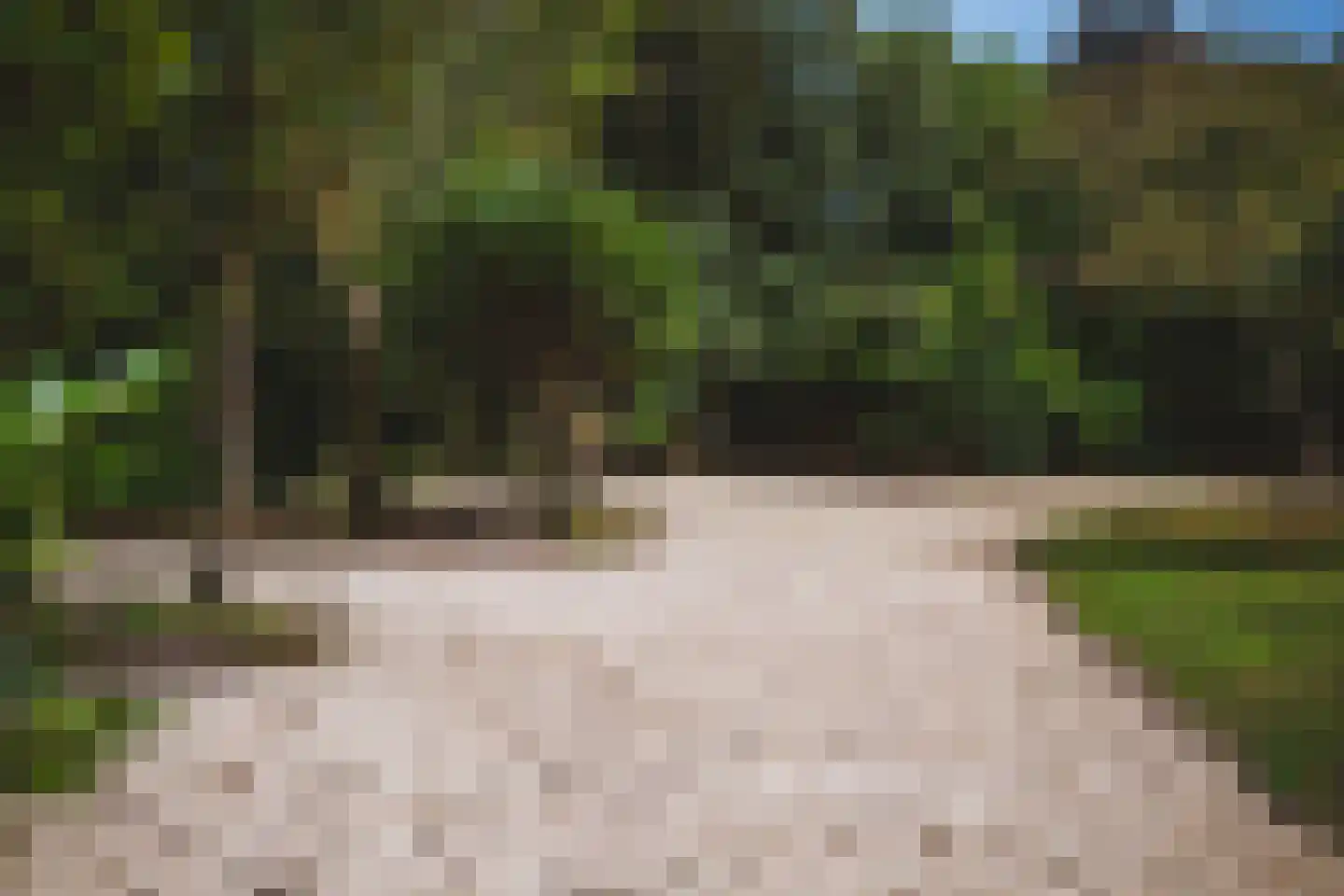 Rijsdammerweg 2 a Sellingen thumbnail 39
