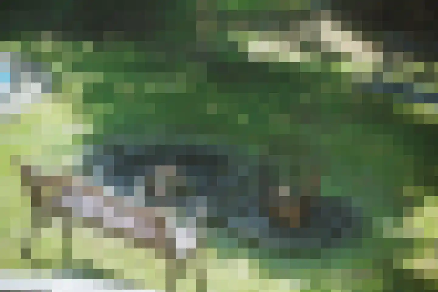 Rijsdammerweg 2 a Sellingen thumbnail 46
