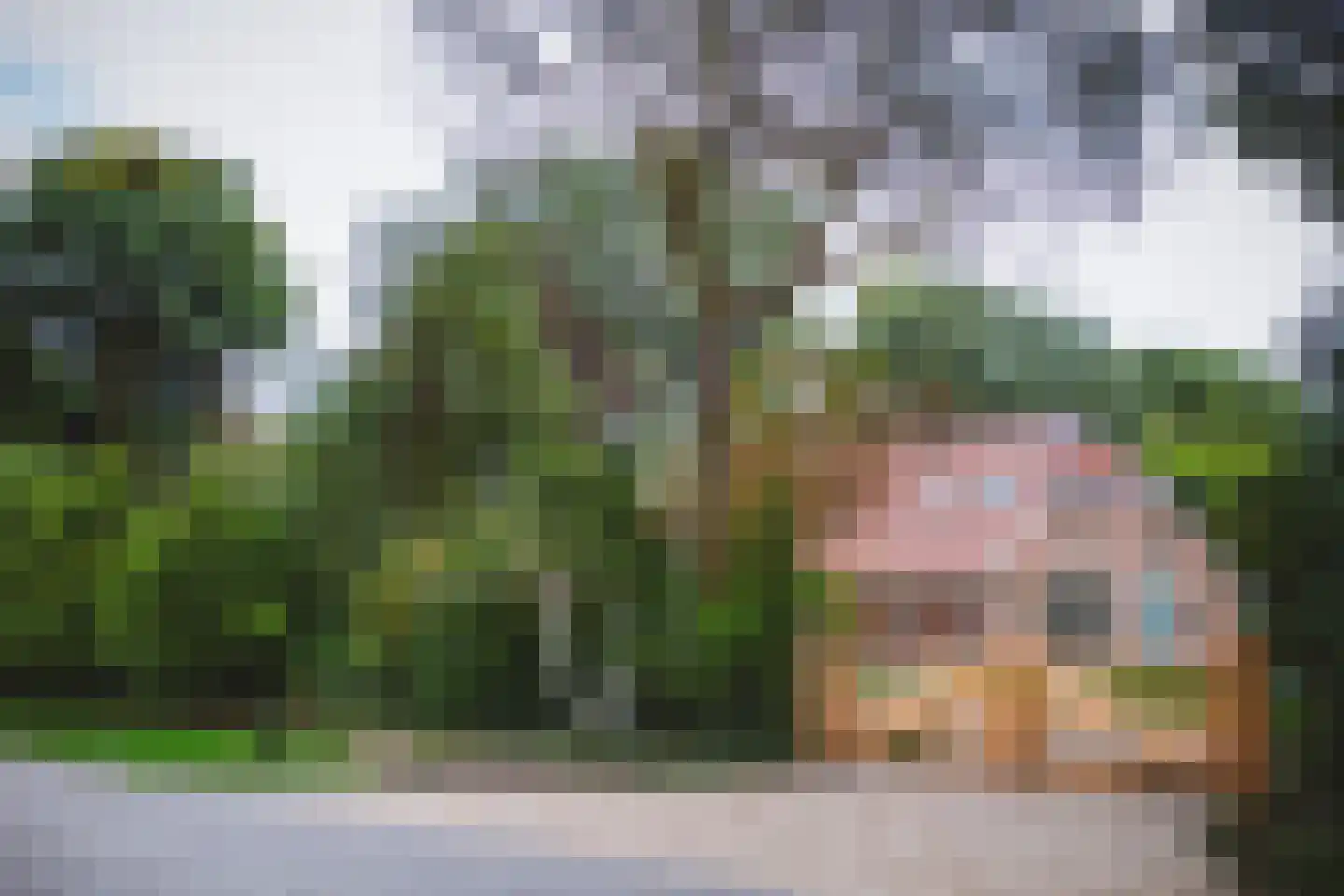 Rijsdammerweg 2 a Sellingen thumbnail 55