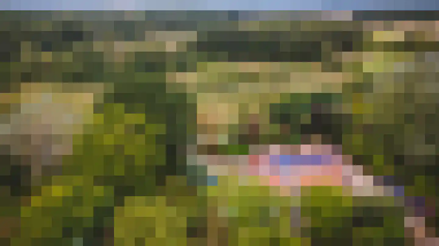 Rijsdammerweg 2 a Sellingen thumbnail 57