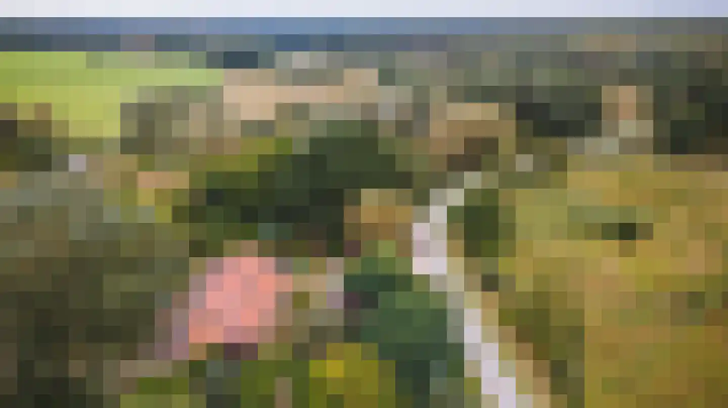 Rijsdammerweg 2 a Sellingen thumbnail 59