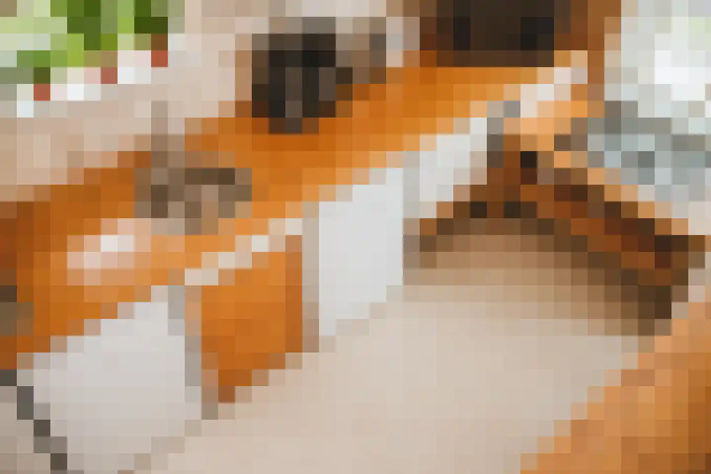 Rijsdammerweg 2 a Sellingen thumbnail 8