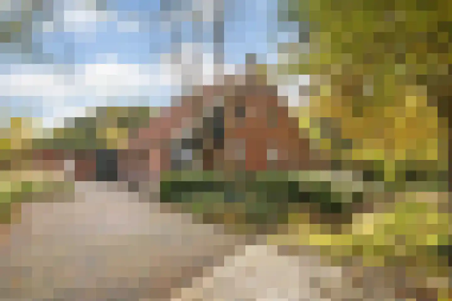Rijsdammerweg 8 Sellingen foto 2