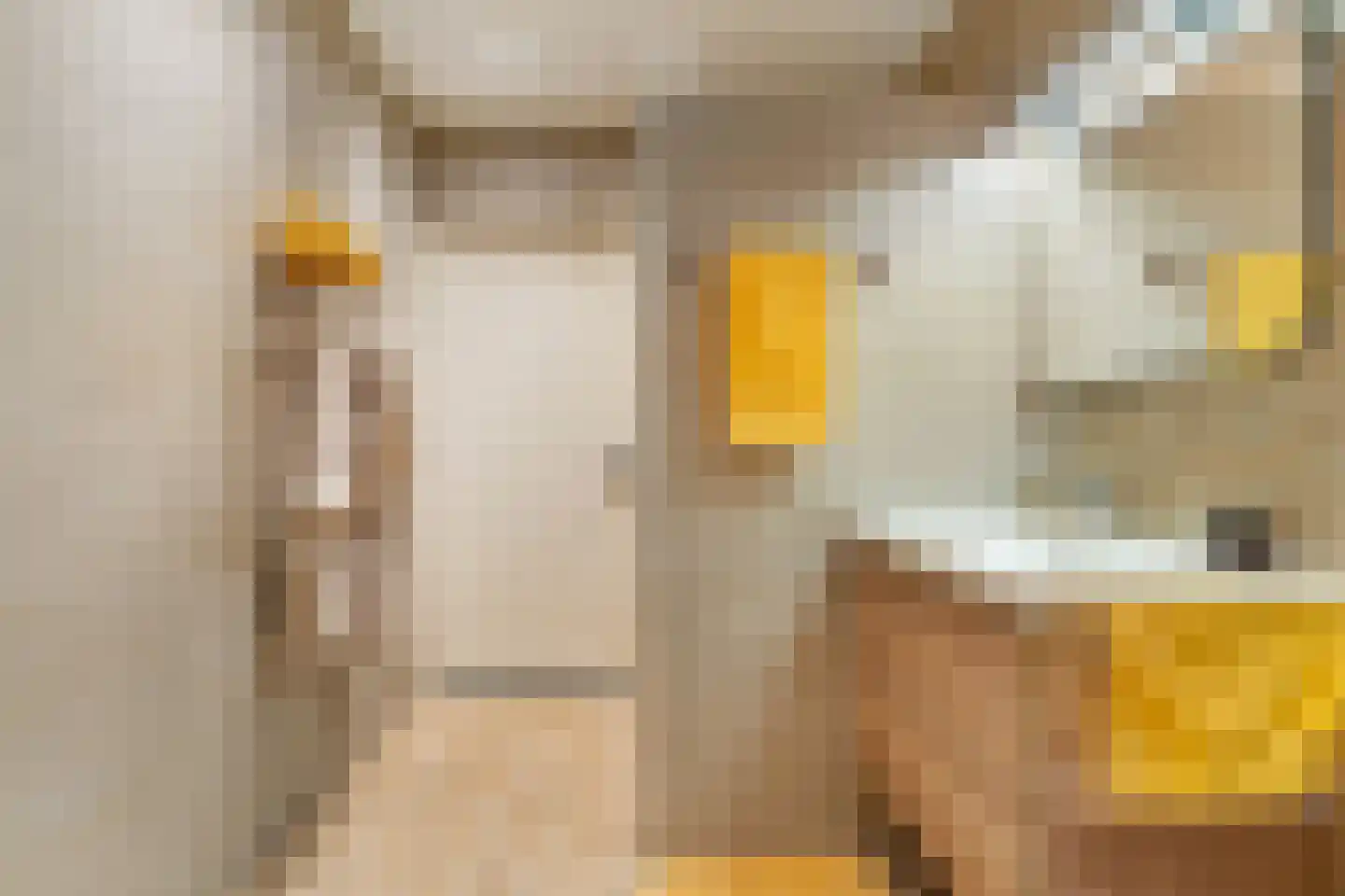 Rijsdammerweg 8 Sellingen thumbnail 27