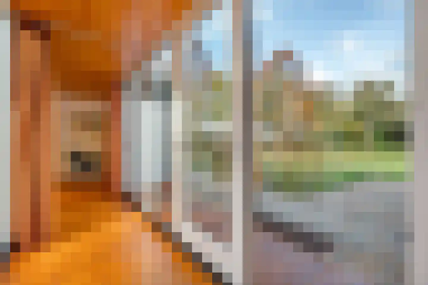 Rijsdammerweg 8 Sellingen thumbnail 30